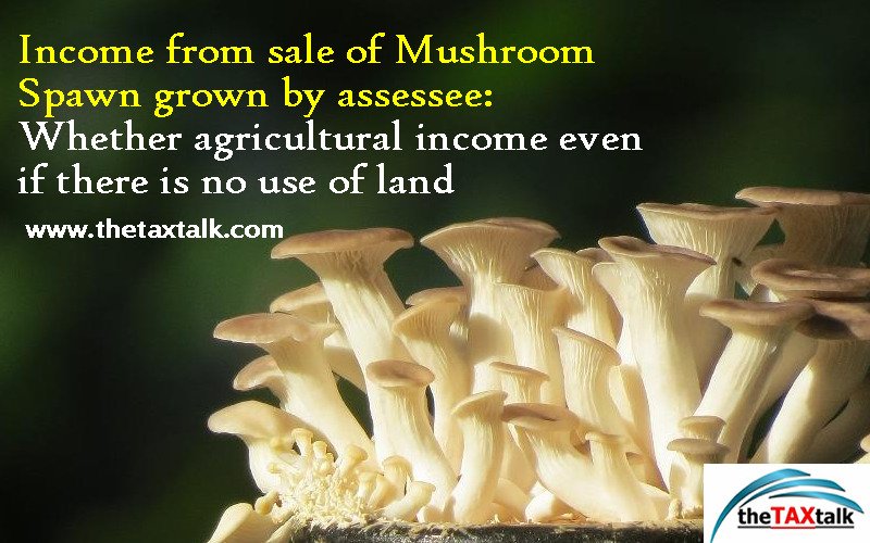 Income from sale of Mushroom Spawn grown by assessee: Whether agricultural income even if there is no use of land